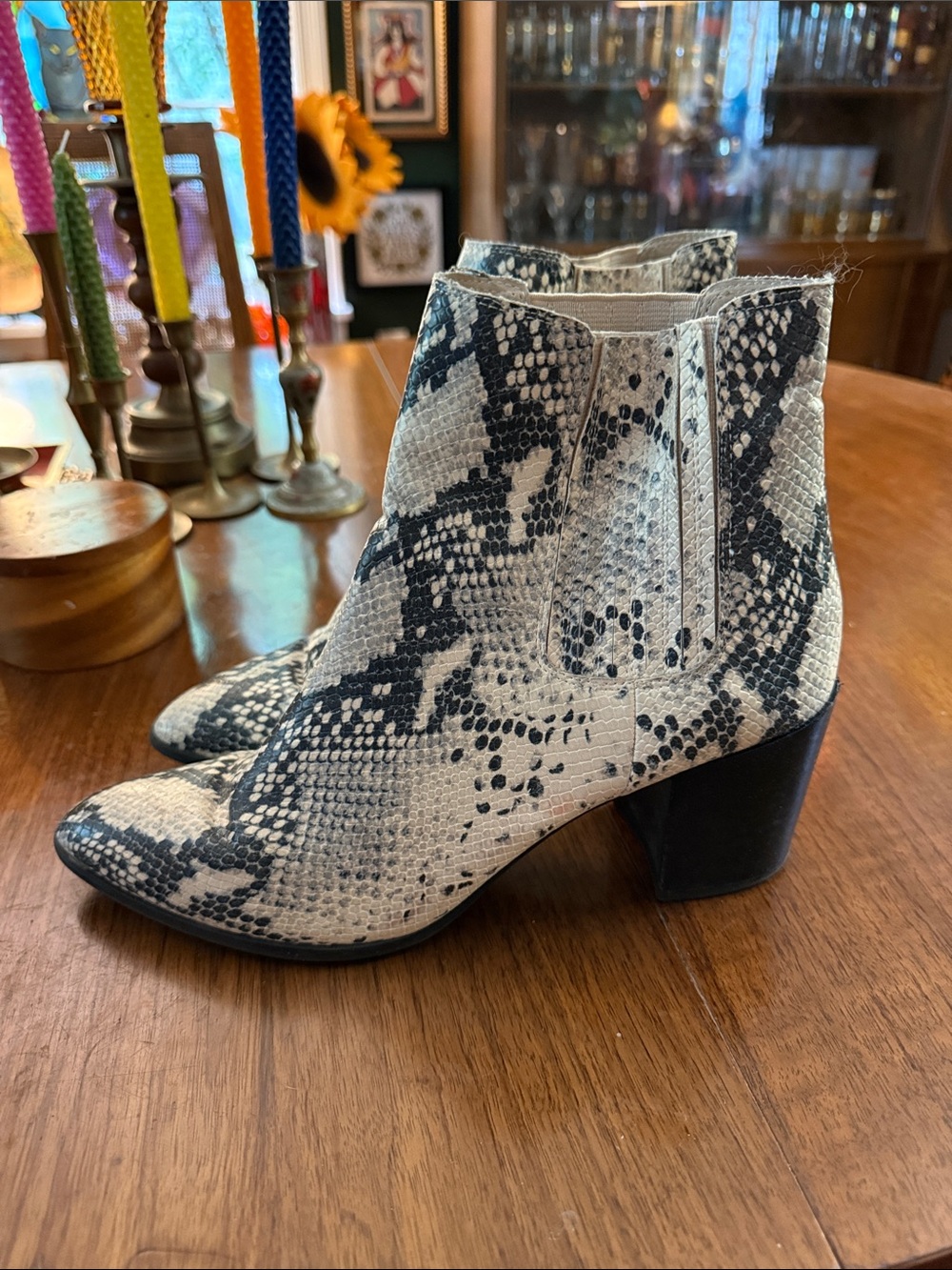 Steve Madden Women's Snake-Print Ankle Boots - Black & Cream